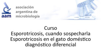 Curso: “Esporotricosis, cuando sospecharla”