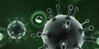 Newer tests could cut hep C diagnosis steps in half