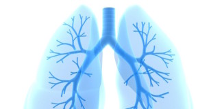 Nuevos conocimientos sobre la microbiota del aparato respiratorio