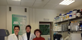 Altos niveles de anticuerpos anti-HDL y riesgo de eventos cardiovasculares