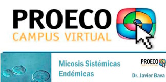 Cursos Online de PROECO con inicio en Agosto de 2016