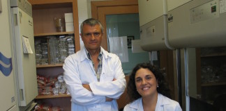 37 genes heredados de la madre marcan parte de nuestro envejecimiento