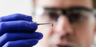 Benign Bacteria Block Mosquitoes from Transmitting Zika, Chikungunya Viruses