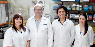 Polinofenol, presente en arándanos, como como posible droga anti-chagásica