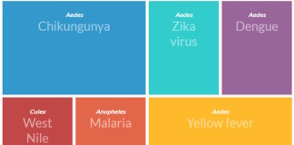 Mosquito-borne diseases