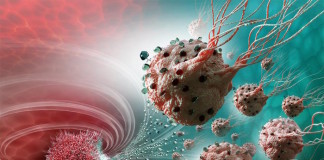 Magnetic Bacteria Ferry Chemo Drugs to Resistant Tumors