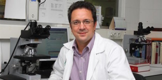 La vitamina D reduce el riesgo de rechazo tras un trasplante de médula