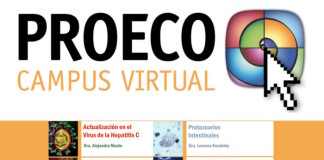 Cursos Online de PROECO con inicio en Septiembre de 2016