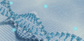 Biopsias líquidas: Diferencias en el tamaño del ADN tumoral circulante respecto al ADN circulante normal