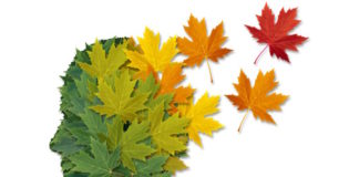 Descubren cómo se forman las placas del alzheimer en el cerebro