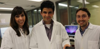 Descubren una bacteria intestinal que genera fragmentos tóxicos del gluten