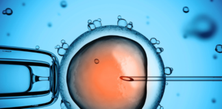Mitochondrial DNA levels as a marker of embryo viability in IVF