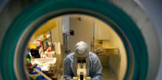 Una nueva molécula detiene el desarrollo del Alzheimer en ratones