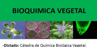 Curso de Postgrado Bioquímica Vegetal