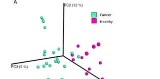A bacterial role in breast cancer development and prevention
