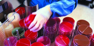 Nuevo estudio sobre la infección intrahospitalaria por Clostridium difficile