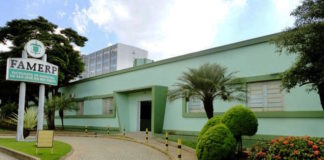 Dos estudios revelan nuevos aspectos del virus Zika