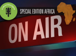 El Microscopio – Special Edition Africa