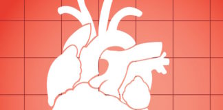 El estilo de vida parece ser más importante que la cifra del HDL, según un estudio