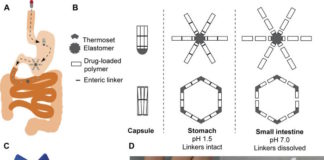 Una píldora de acción ultra prolongada podría ayudar a eliminar la malaria