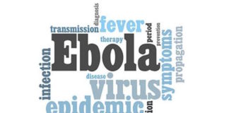 Científicos señalan que el virus del ébola mutó para hacerse más infeccioso