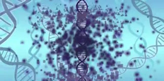 Entender los cambios epigenéticos: un paso más en la medicina de precisión