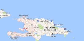 El Virus Mayaro con presencia en América Latina comienza a preocupar a la comunidad científica