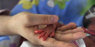 El nivel de proteína DLK1 en embarazadas podría ser útil en diagnóstico prenatal