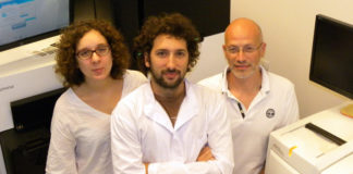 Bioinoculantes: microorganismos que pueden reemplazar a agroquímicos