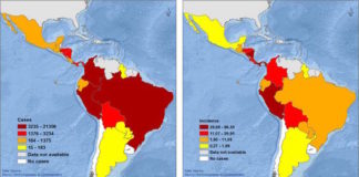 Aumento de casos de leishmaniosis cutánea en Latinoamérica