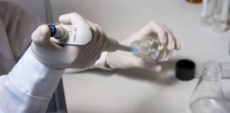 Hallan nuevo rol del colesterol en la regulación de proteínas cerebrales