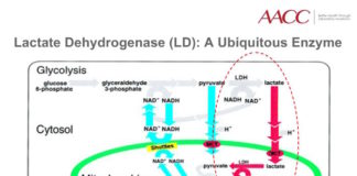 Pearls of Laboratory Medicine on Lactate Dehydrigenase: Analytical Aspects
