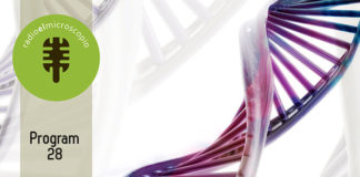 El Microscopio – Program 28