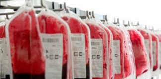 Crean un prototipo de sangre artificial