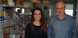 Nanodispositivo para detectar cocaína en soluciones acuosas