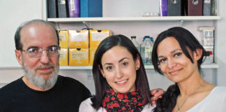 La Proteína MutS mantiene la fidelidad de la replicación