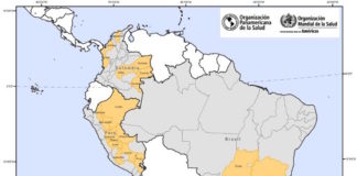 Alertas por Fiebre Amarilla