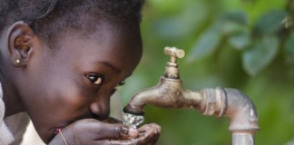 La bacteria del cólera infecta más eficazmente con un simple cambio de forma