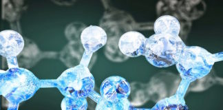 Nuevo enfoque contra los estrógenos ambientales que afectan al sistema endocrino