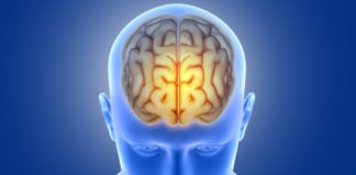 Scientist ‘reprograms’ roving immune cells in Alzheimer’s research