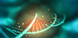 Los priones parecen haber sido detectados en bacterias