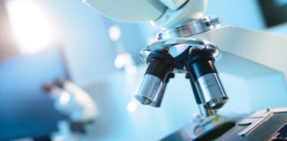 Desarrollan un método para estudiar mejor las defensas inmunes en la enfermedad de Chagas