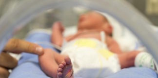 Clausuran la UCI de neonatos de un hospital al detectarse infecciones por Serratia marcescens en España