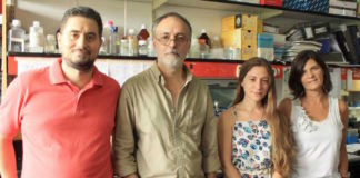 Describen mecanismos biológicos que vinculan el exceso de grasas y azúcares con el Alzheimer