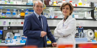 Deficiencia de ACOX2