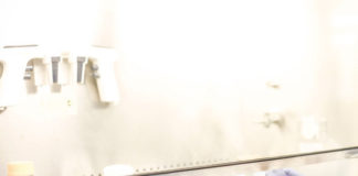 Plasma rico en plaquetas (PRP): ¿Es una herramienta terapéutica en diferentes situaciones clínicas?