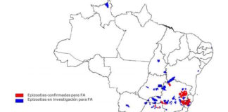 Actualización epidemiológica sobre la situación de la fiebre amarilla
