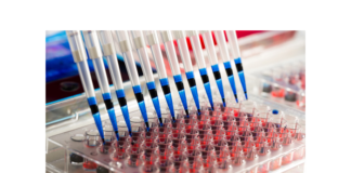 To Screen or Not to Screen?