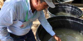 Twitter y Google, más ágiles contra el virus Zika que las autoridades