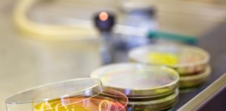 Personal de salud: Portador de Staphylococcus aureus en la mucosa nasal